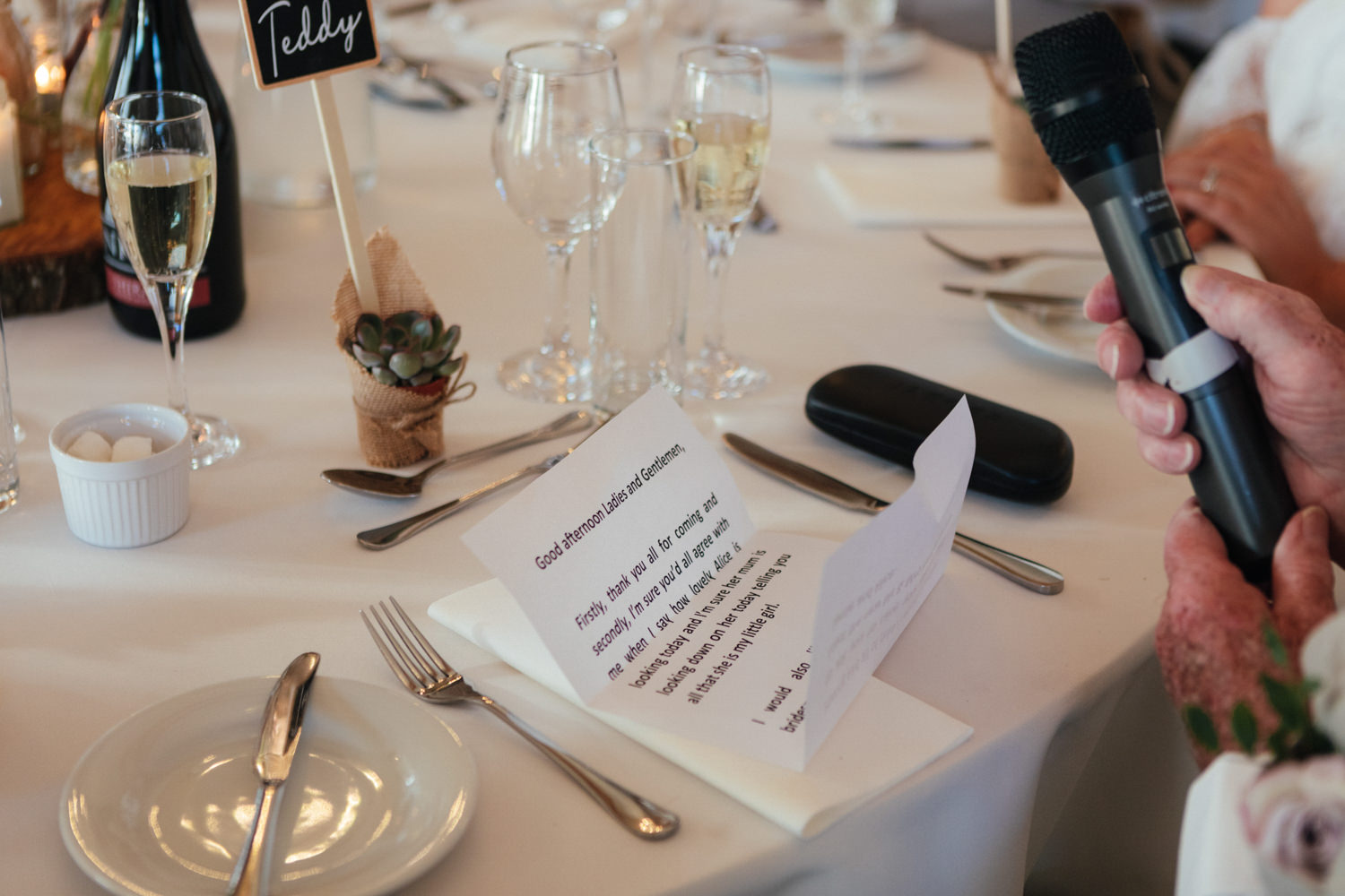 Beaconside House Wedding Photographer, Devon, Devon wedding, Devon wedding photographer, Devon wedding photography, August wedding, summer wedding, outdoor ceremony, outdoor wedding, wedding breakfast, wedding guests, speeches