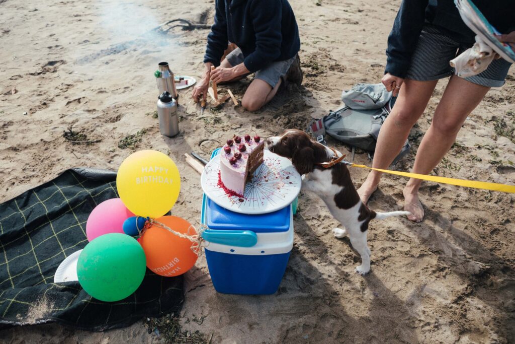 Beach Birthday Cake
